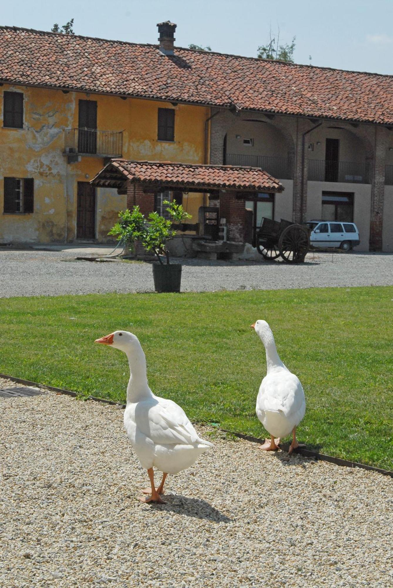 Hotel Antico Podere Propano Saluzzo Exterior foto